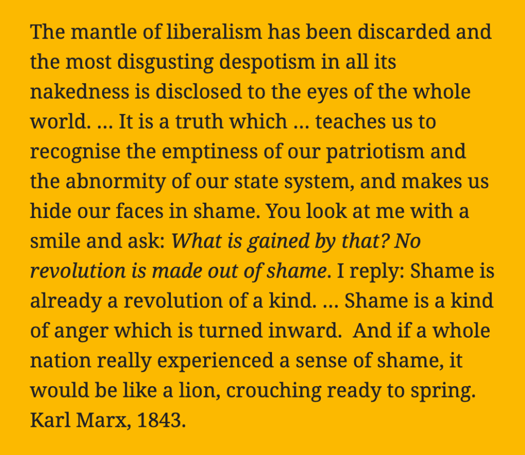 Shame is already a revolution of a&nbsp;kind